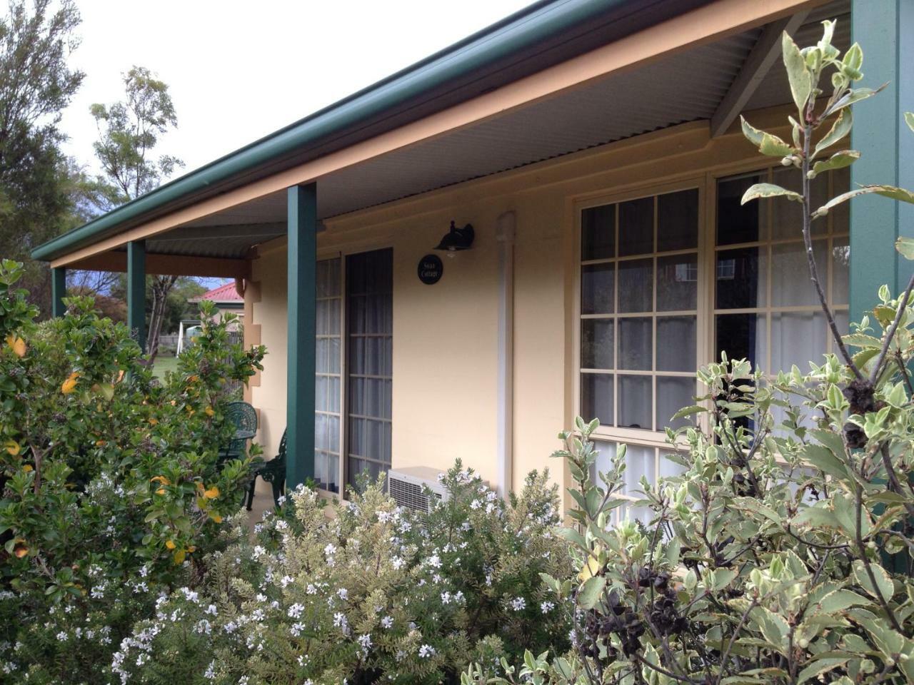 Swansea Cottages & Lodge Suites Luaran gambar